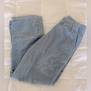 Aritzia Light Blue Textured Pants